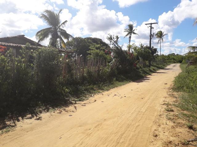 Fazenda 150 tarefas em Conde - Foto 2