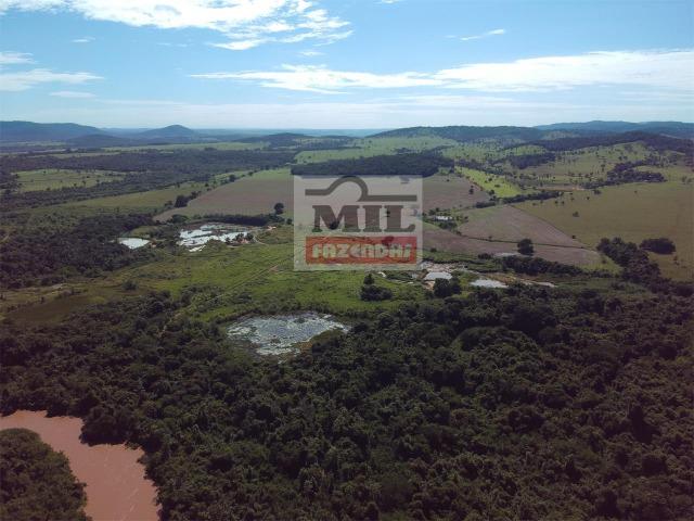 Fazenda 30 alqueires ( 145,20 ha ) Guapó-GO soja e pecuária - Foto 7