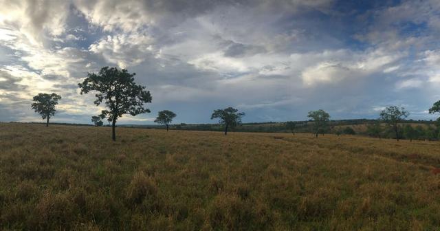 Fazenda plana e rica em água, 24 Alqueires (116.16 ha ) Bela Vista de Goias - Foto 8