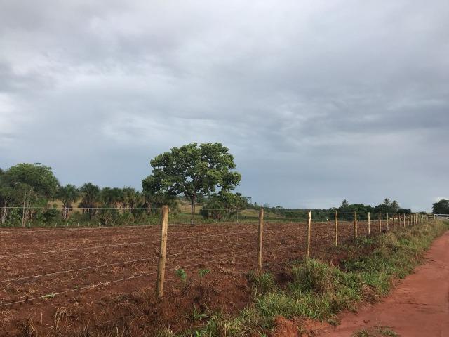 Fazenda plana e rica em água, 24 Alqueires (116.16 ha ) Bela Vista de Goias - Foto 17
