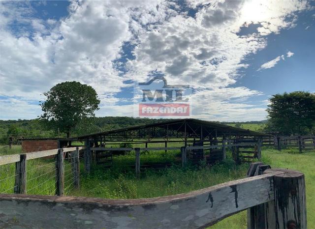 Fazenda 30 alqueires ( 145,20 ha ) Guapó-GO soja e pecuária - Foto 14