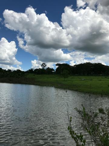 Oportunidade Extra Fazenda 100 Alqueires ou 484 Hectares Aragoiânia - Foto 8