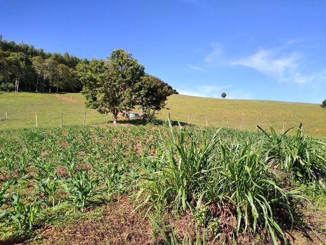 Vendo Sitio em Pouso Alto - MG