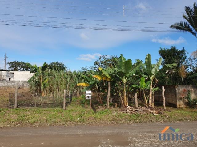 Terreno - Araquari - Foto 4