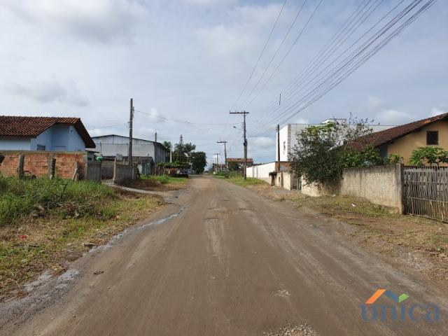 Terreno - Araquari - Foto 5