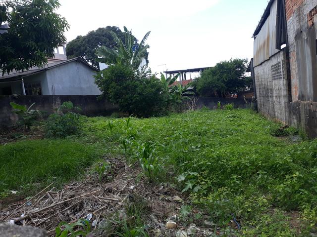 Vendo Lote 10/30 - Foto 2