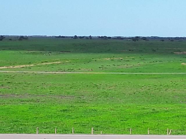 Fazenda 180 alqueires Linhares - Foto 8