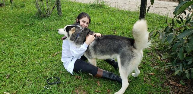 Cuidadora de Animais - Foto 3