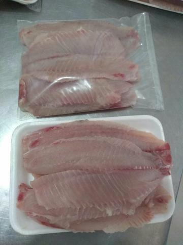 Peixe promoção - Foto 3