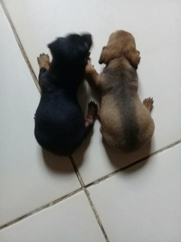 Vendo - Foto 2
