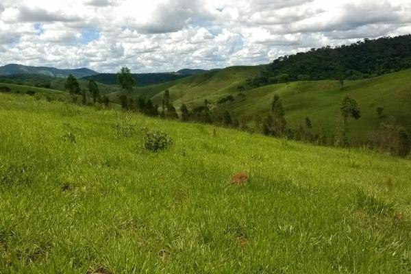 Vendo- Sítio no Sul de Minas com 26 hectares!! - Foto 2