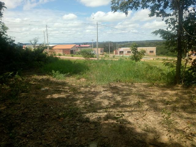 Vendo Ágio Lote - Jardim dos Ipês - Caldas Novas - Foto 4