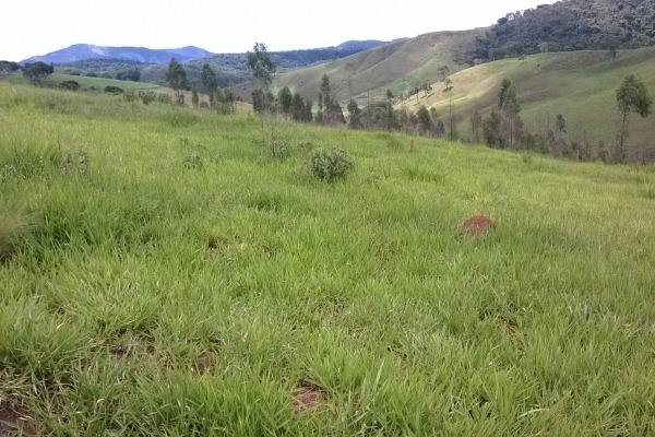 Vendo- Sítio no Sul de Minas com 26 hectares!! - Foto 7