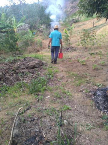 Vendo ou troca sítio santa Maria Jetibá - Foto 5