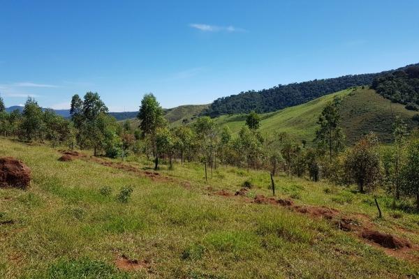 Vendo- Sítio no Sul de Minas com 26 hectares!! - Foto 10