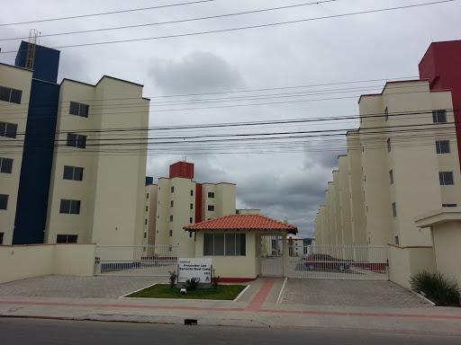Divido apartamento