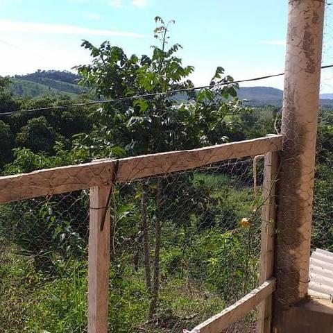 Venda ou troca Fazenda 70hectares - Foto 6