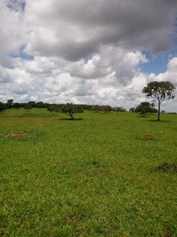 Fazenda a venda em Piracanjuba de 20 alqueires para Pecuária e lavoura - Foto 5