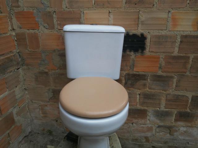 Vaso sanitario