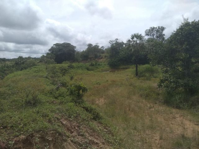 Propriedade Rural de 576 hectares de Mata e Cerrado no Piauí - Foto 12