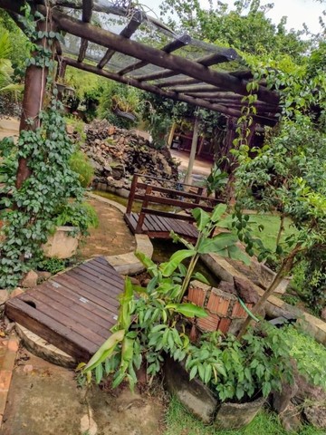 Oportunidade! Pequena chácara na cidade!  3.019,60m² de área no bairro Nova Campo Grande! - Foto 7