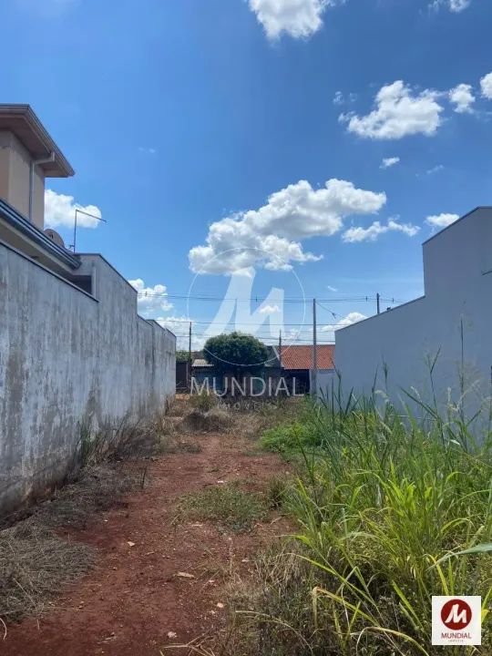 Terreno (terreno normal) - Foto 3