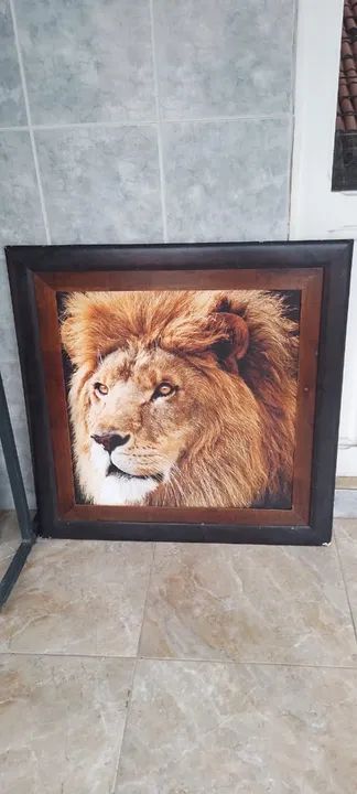 Quadro lindissimo de leao