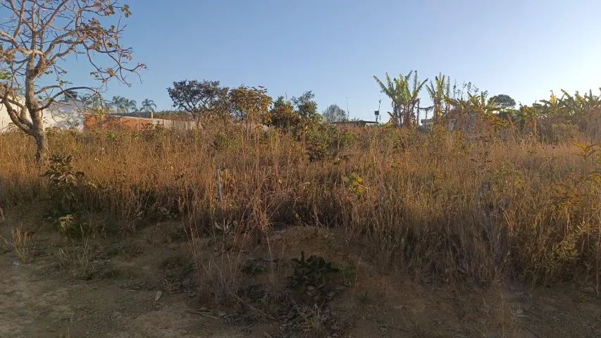 foto - Brasília - Setor Habitacional Arniqueira (Águas Claras)