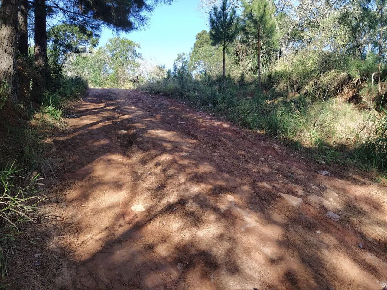 Lote próximo o Trevo. - Foto 4