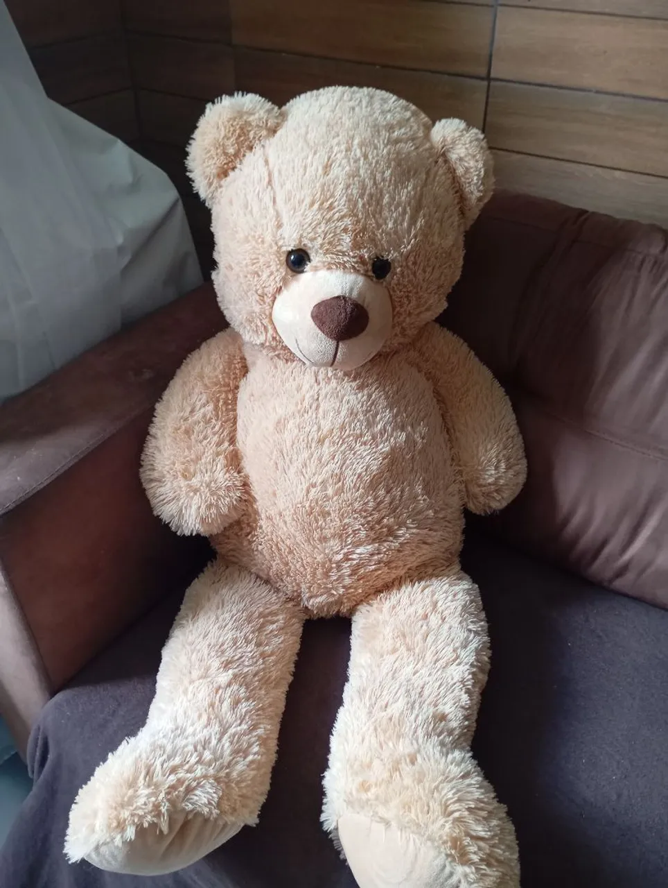 Vendo lindo urso