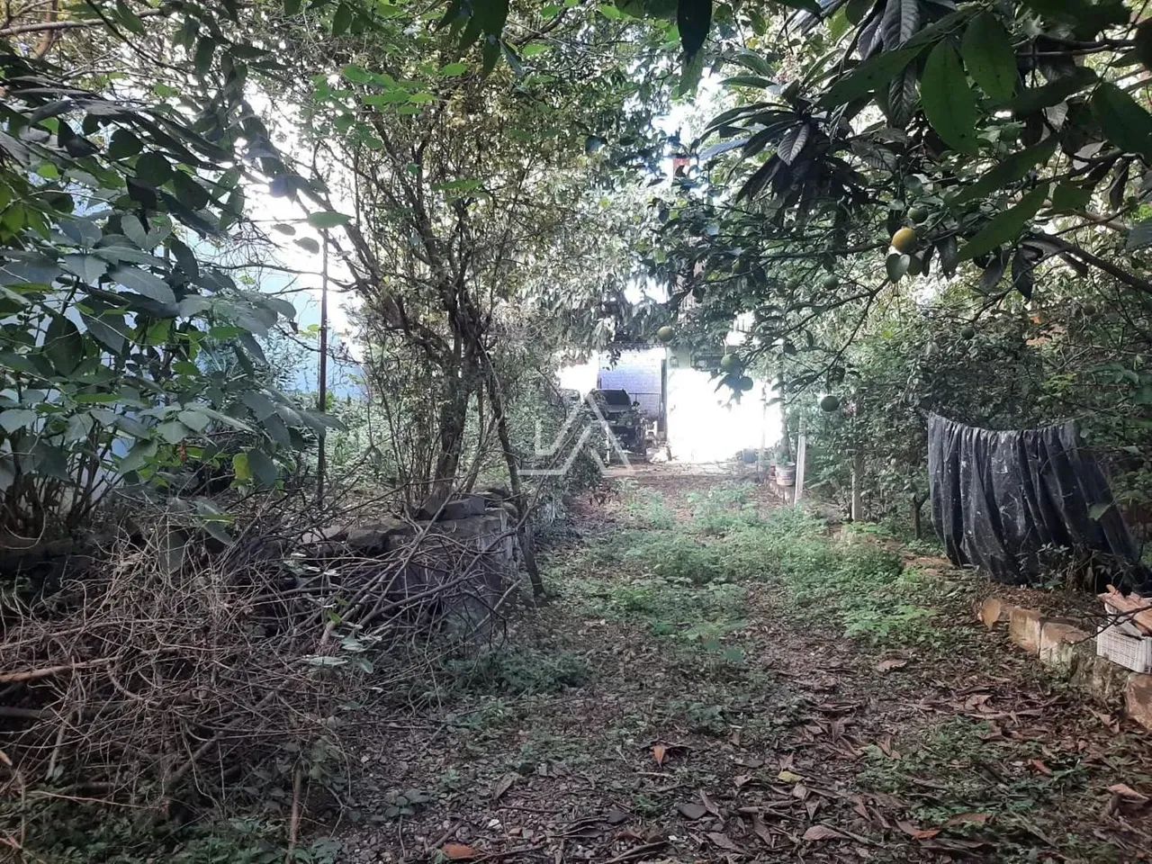TERRENO NA AVENIDA BRASIL CENTRO - Foto 5