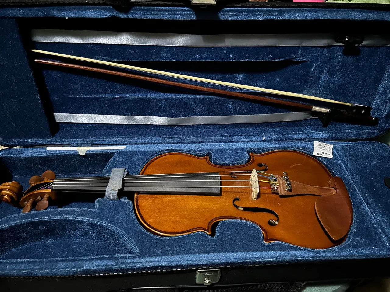 Violino Eagle VE 441 em Ótimo Estado