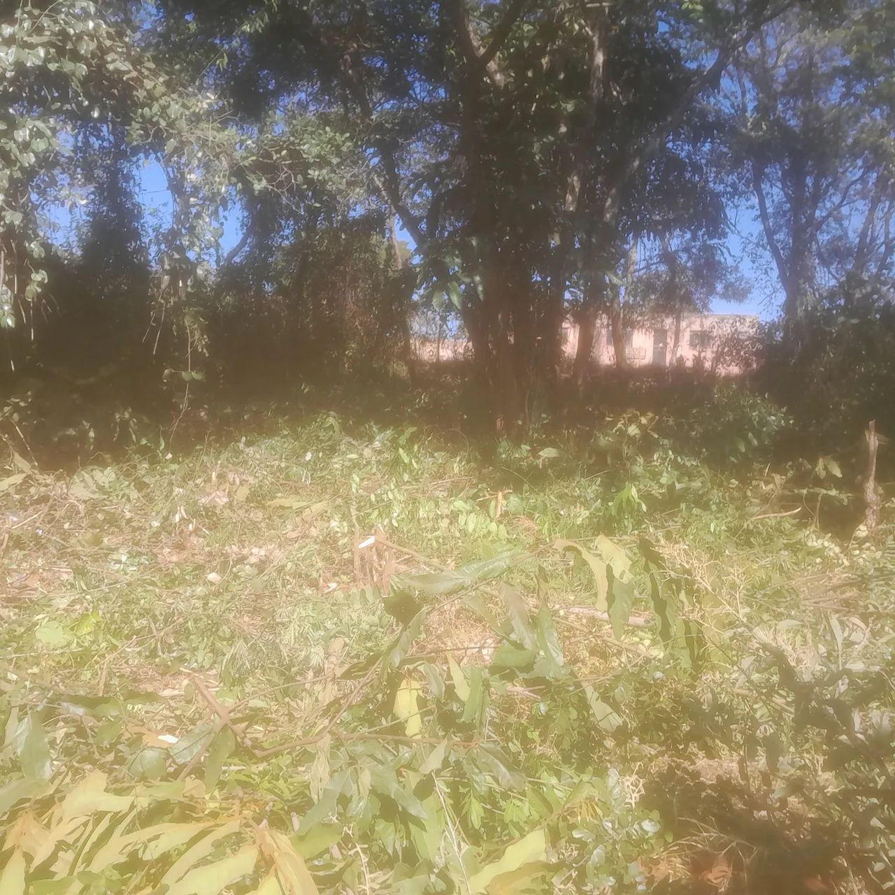 Lotes de 300 mts 