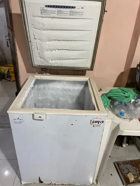 Freezer Electrolux