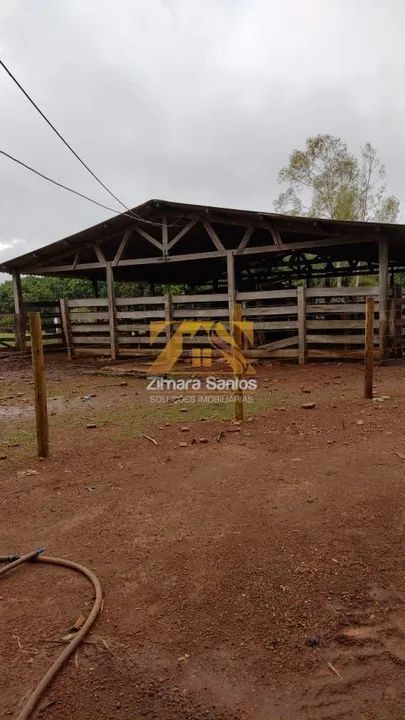 Fazenda, 32 alqueires - Zona Rural - Palmas/TO - Foto 13