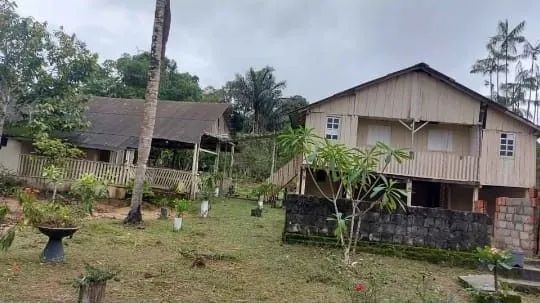 Sítio com casa e área verde em local tranquilo