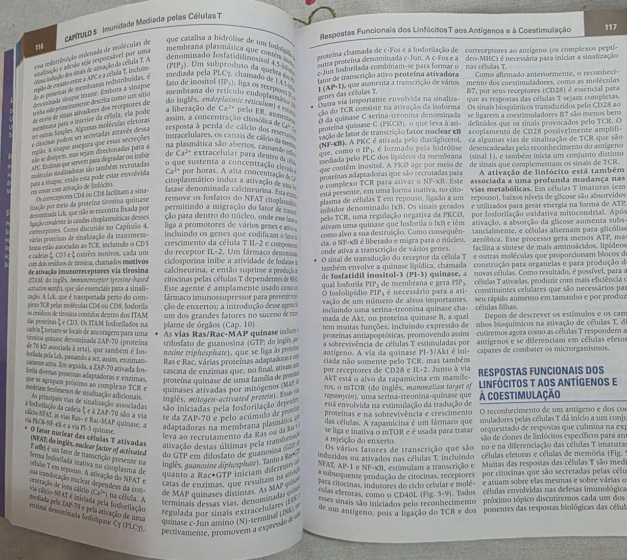Imunologia Básica - Abbas - 5ª Edição - Foto 4