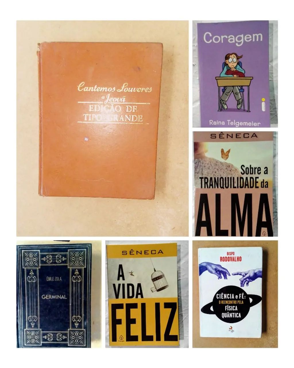 Livros Diversos em Ótimo Estado - Livros e revistas - Bom