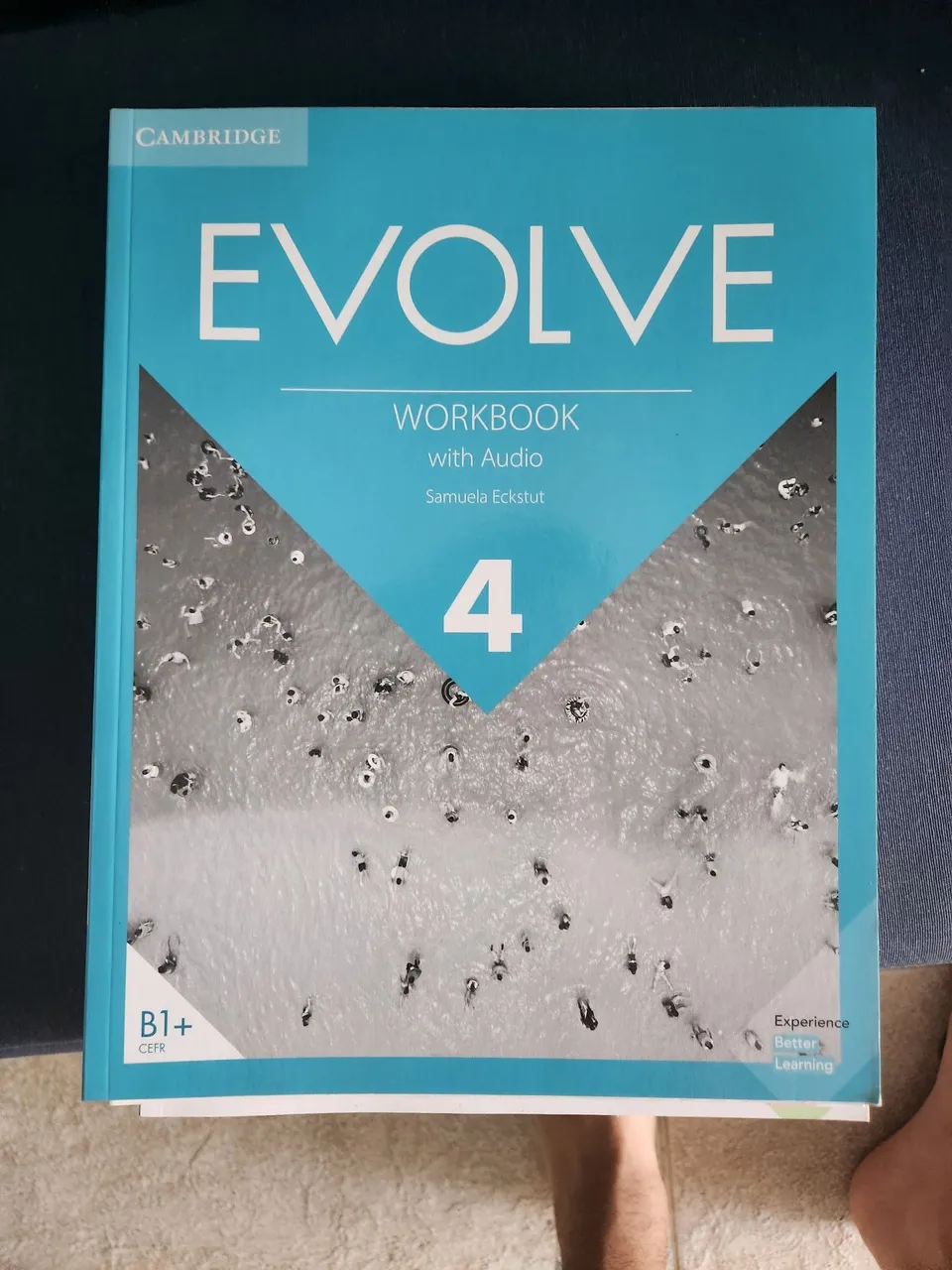 Livro Evolve Workbook 4 with audio - Cambridge