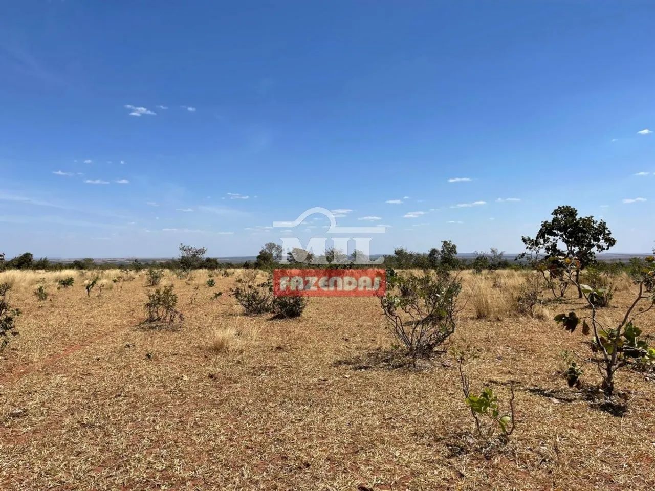 Arrendamento para Lavoura Torixoréu-MT / 1.700 hectares (plantio de soja) - Foto 3