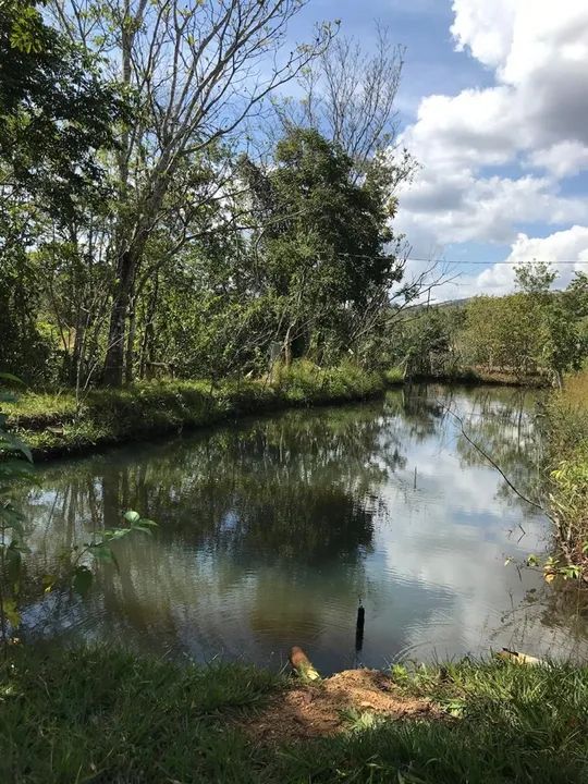 Chácara 40min Goiânia  - Foto 2