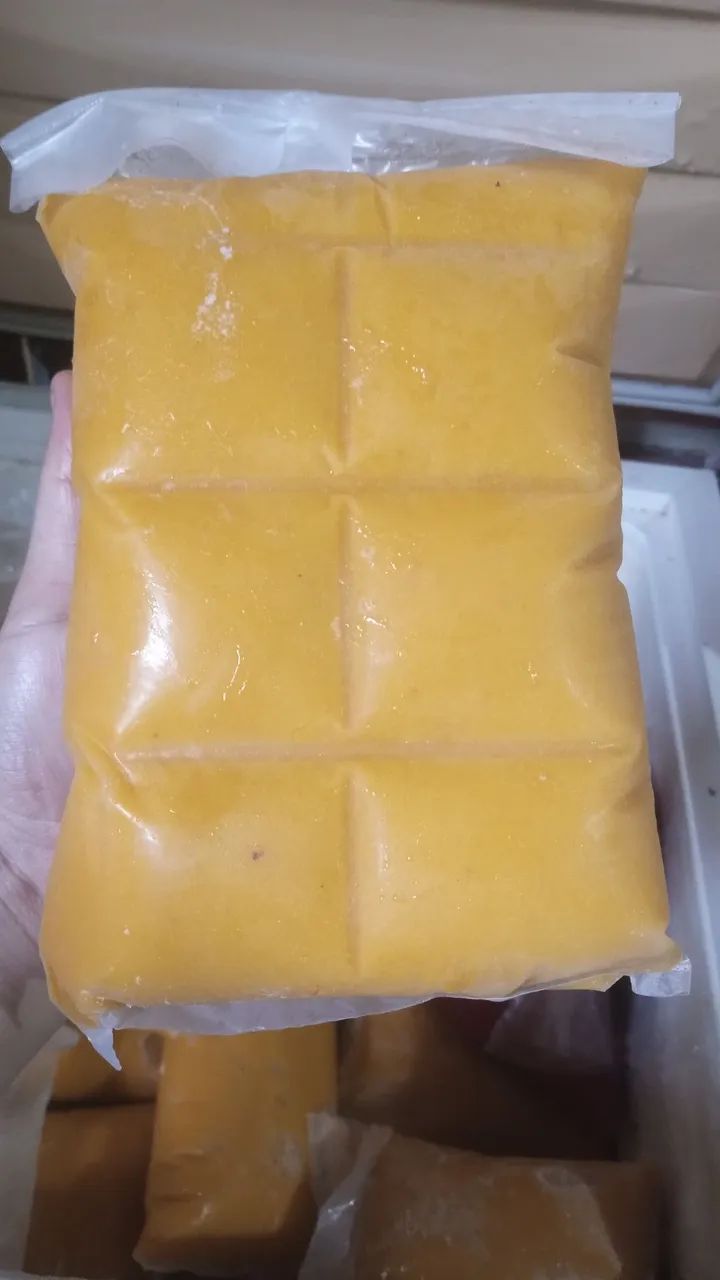 Polpa de Frutas - Cajá, Cajá Imbu, Acerola - Foto 3