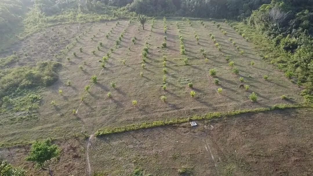 VENDO FAZENDA EM ( BRAGANÇA ) - Foto 2