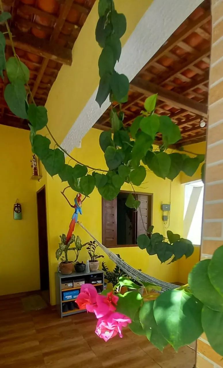 Foto - Aracaju - Robalo