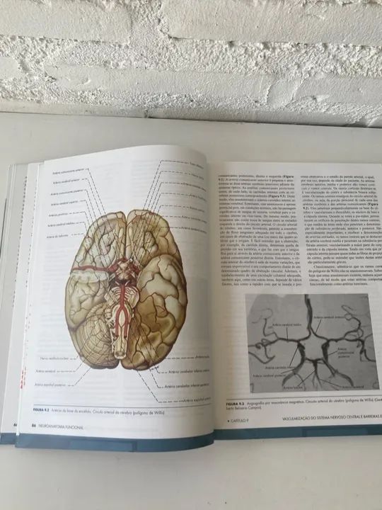 C027 Livro Neuroanatomia Angelo Machado 3ª edição com todas as páginas excelente - Foto 5