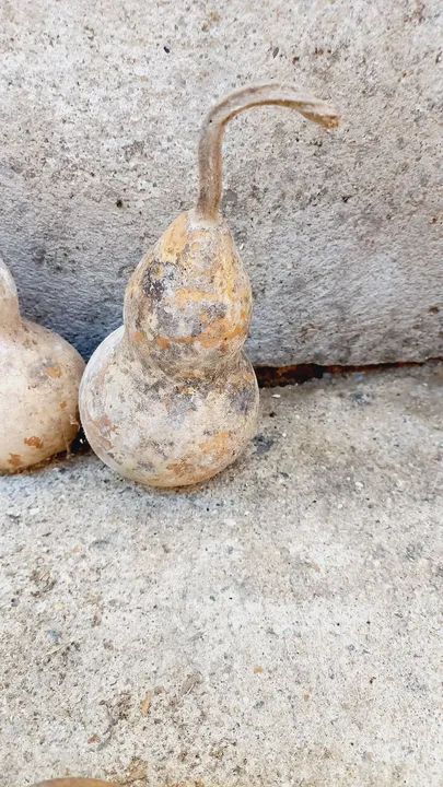 Disponível para venda  - Foto 5