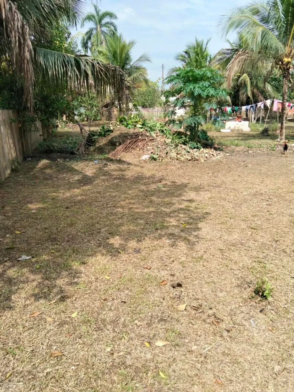 Mini chacara - Foto 2
