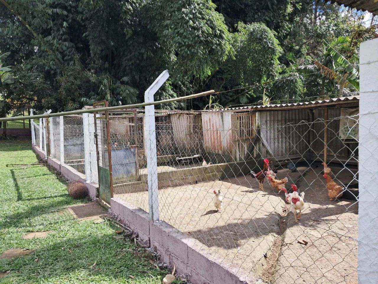Vendo ou troco  - Foto 3