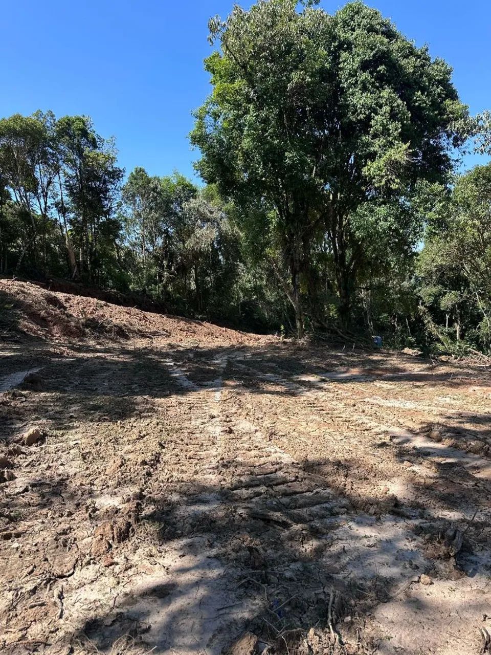Terreno cheio de natureza  - Foto 2