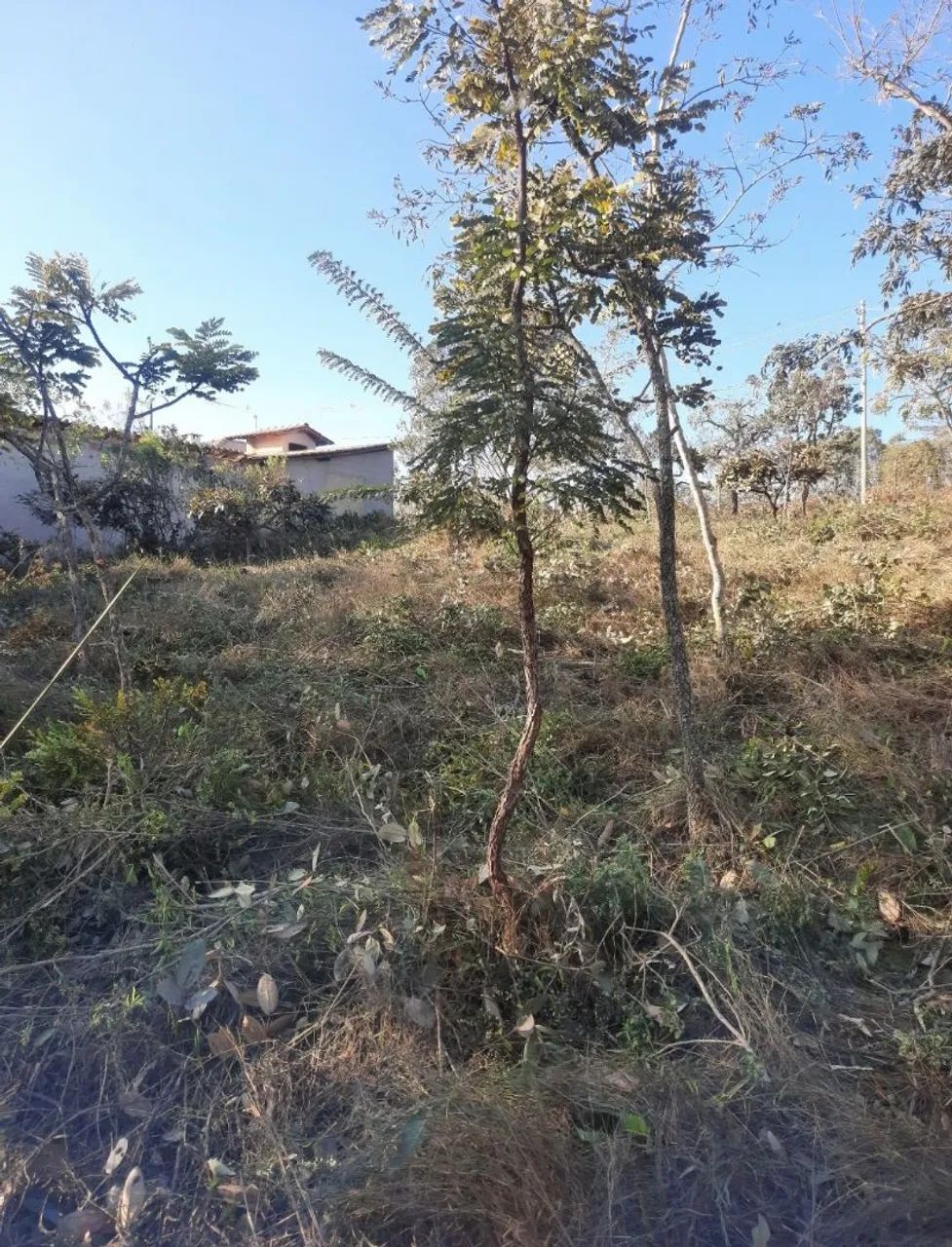 Terreno para fazer um sítio  com lagoa  - Foto 4